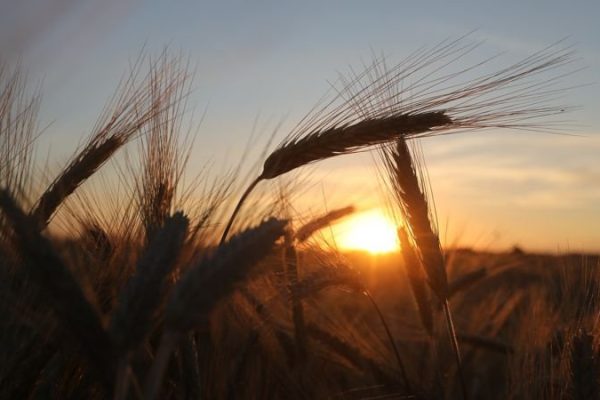 AQAGgyAPywSrUFLz3vyHCc6guh7dc4kqtWgPz01SsDePurUB-7bjTyZRlvLZBDqjVtWYCCkSlQIDim4iiuf_ikZ8CIQ