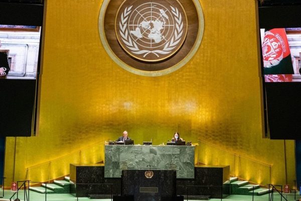 Изображение WhatsApp 2024-05-24 в 11.20.37_4bbe22f5